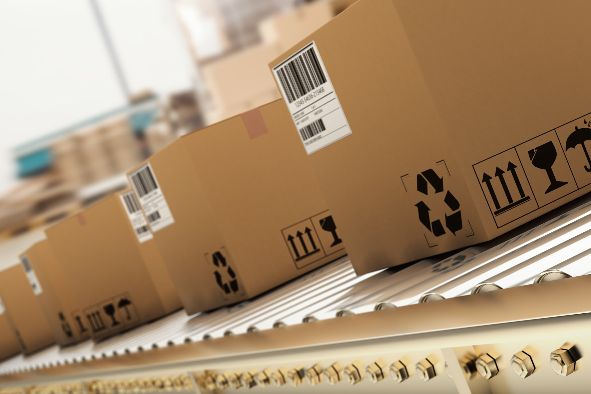 ECを通じた各種商品の販売・流通支援事業